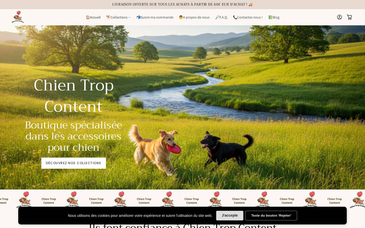 Chientropcontent homepage screenshot