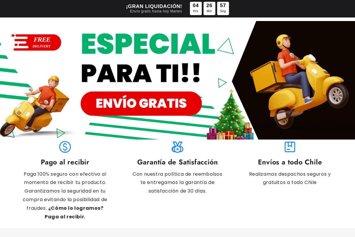 chilecoco.store homepage screenshot