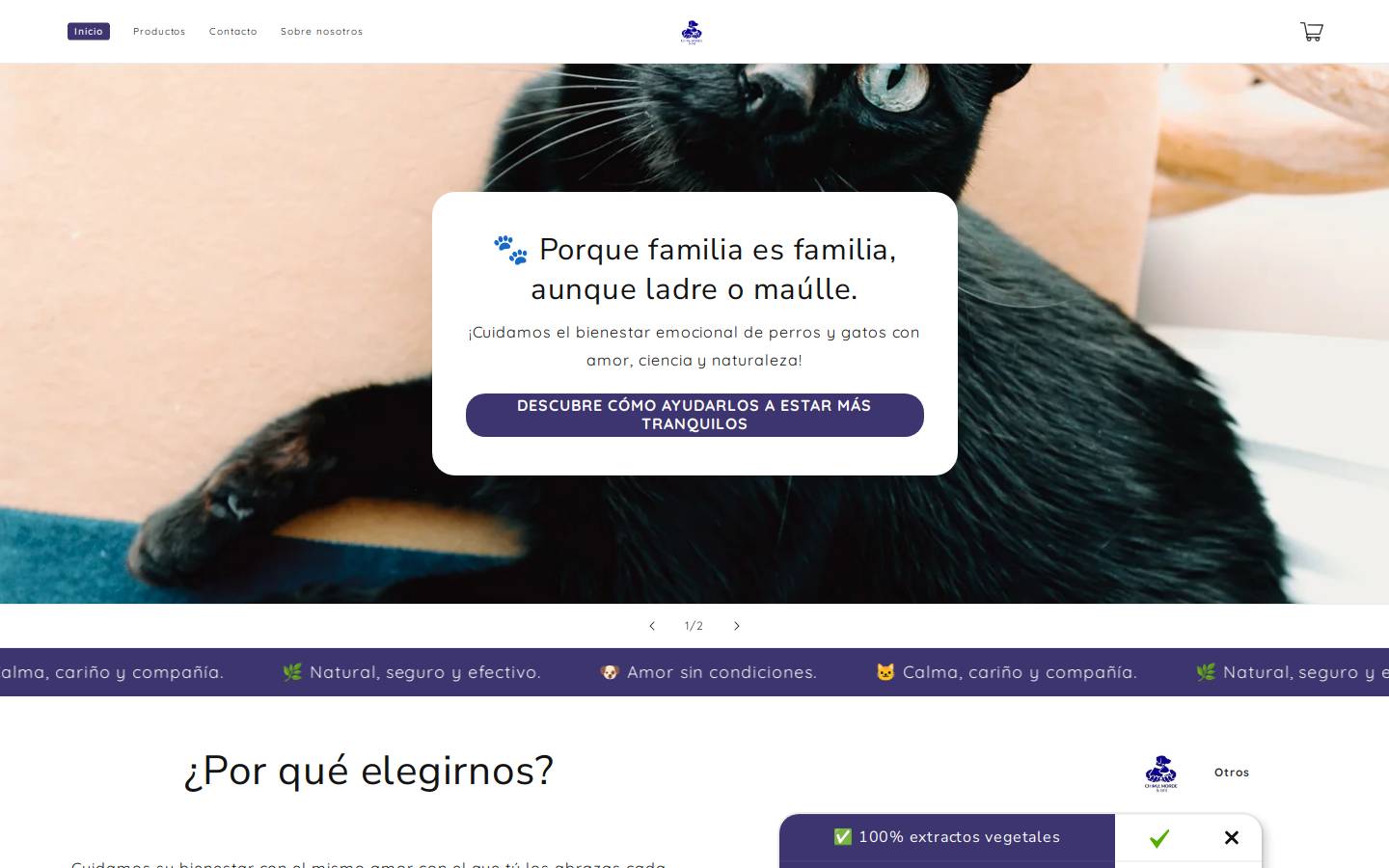 chimumordebri.com homepage screenshot