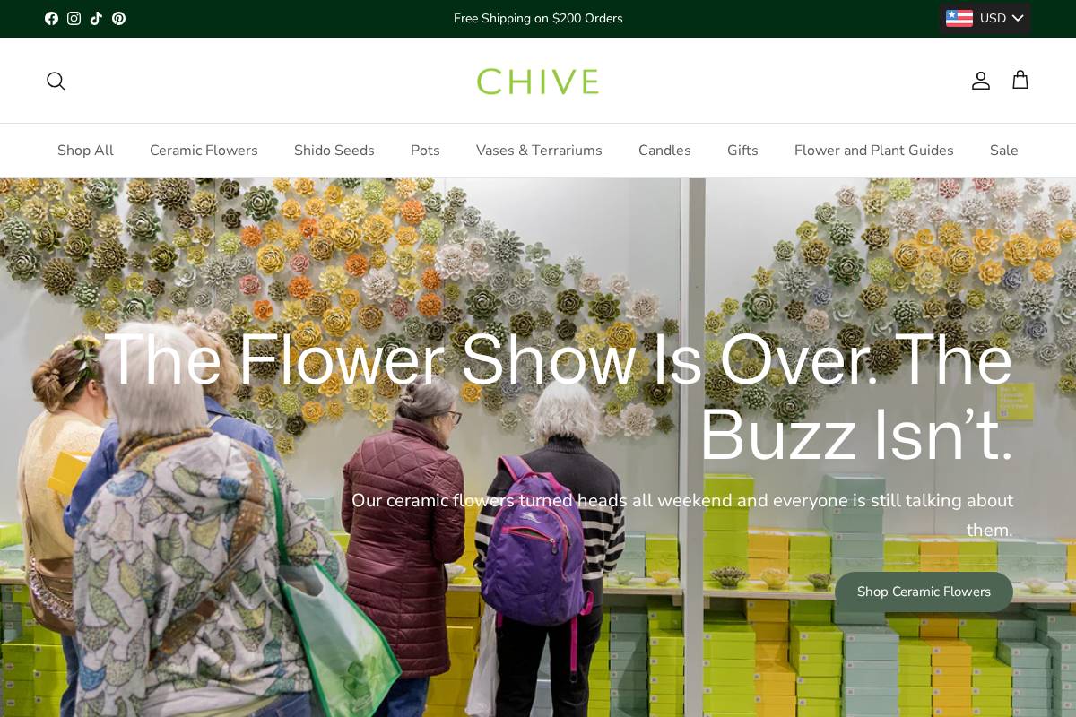 Chive Inc. homepage screenshot