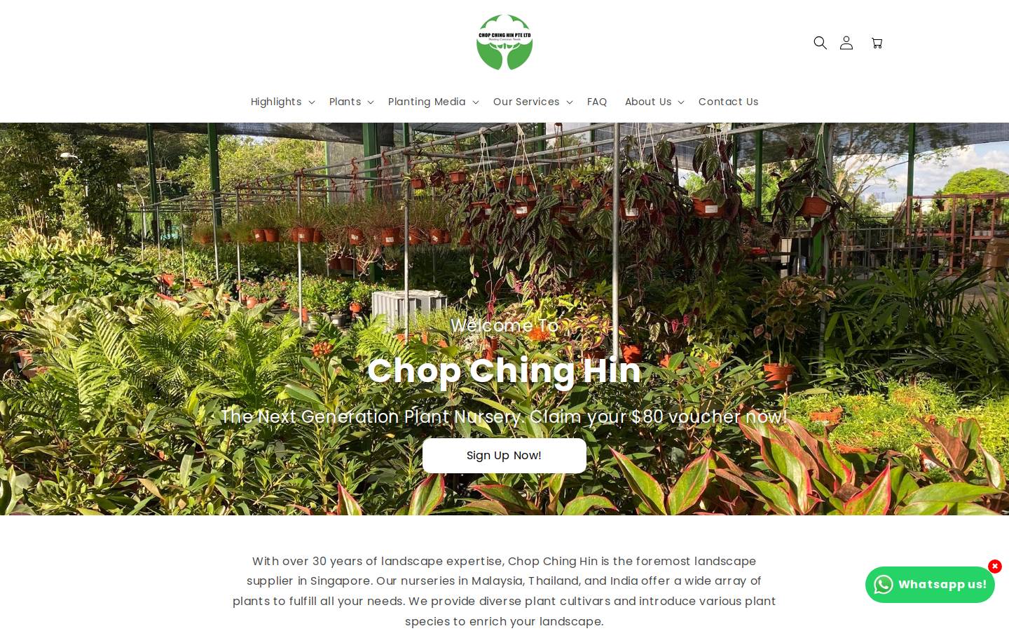 chopchinghin.com homepage screenshot