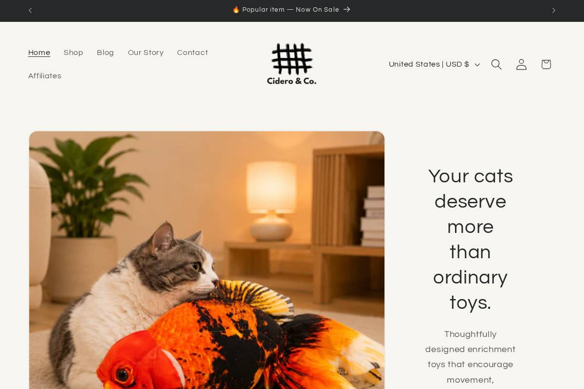 cidero.net homepage screenshot
