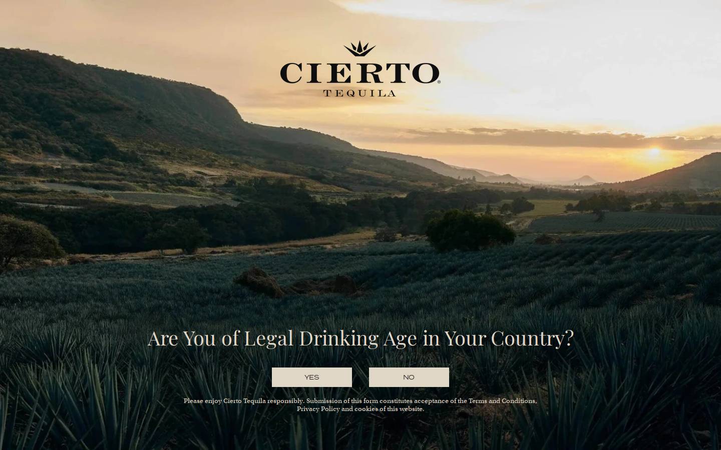 ciertotequila.com homepage screenshot