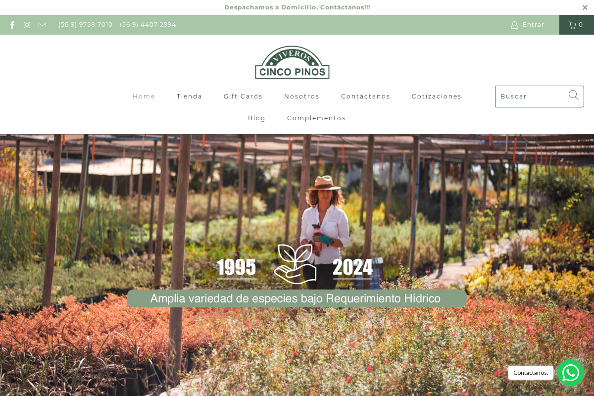 Vivero Cinco Pinos homepage screenshot