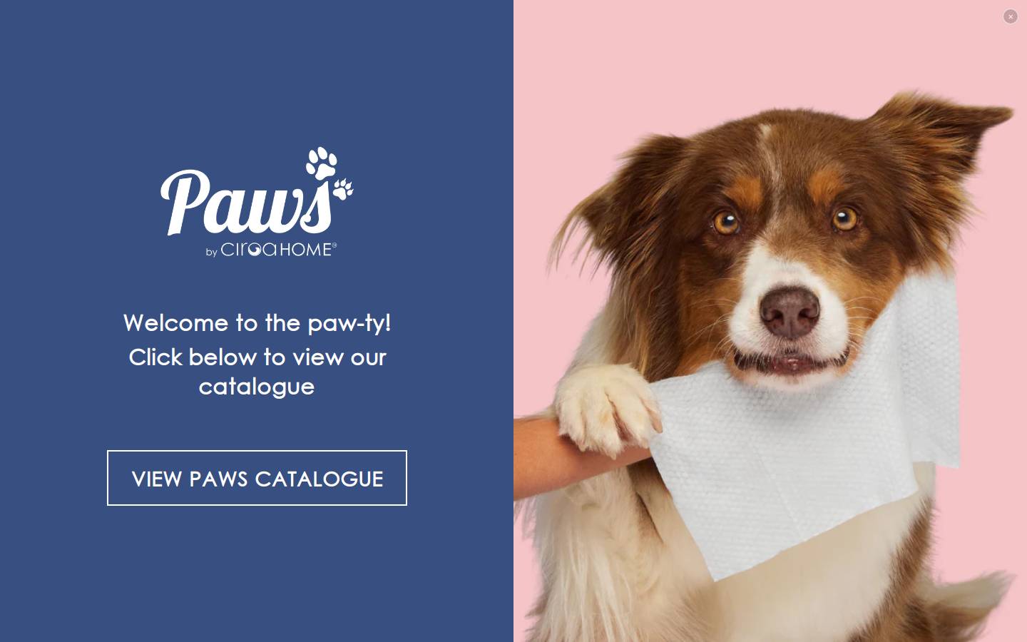 ciroapaws.com homepage screenshot