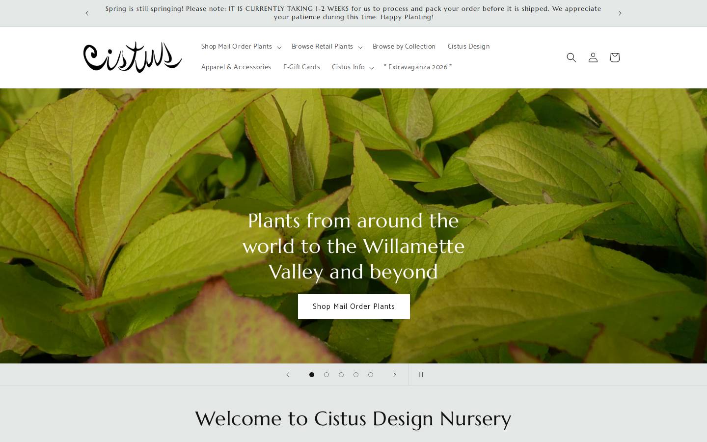 cistus.com homepage screenshot