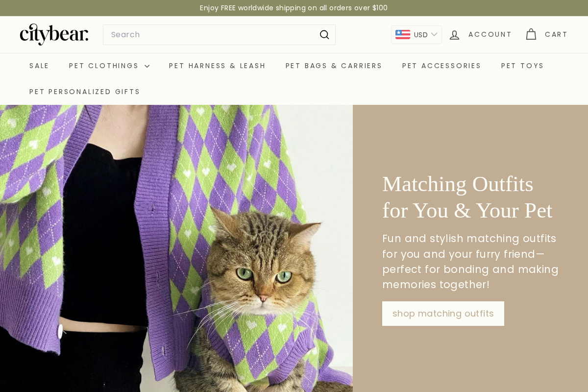 CityBear homepage screenshot