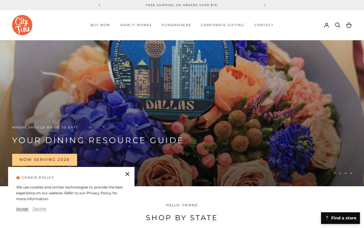 citytins.com homepage screenshot