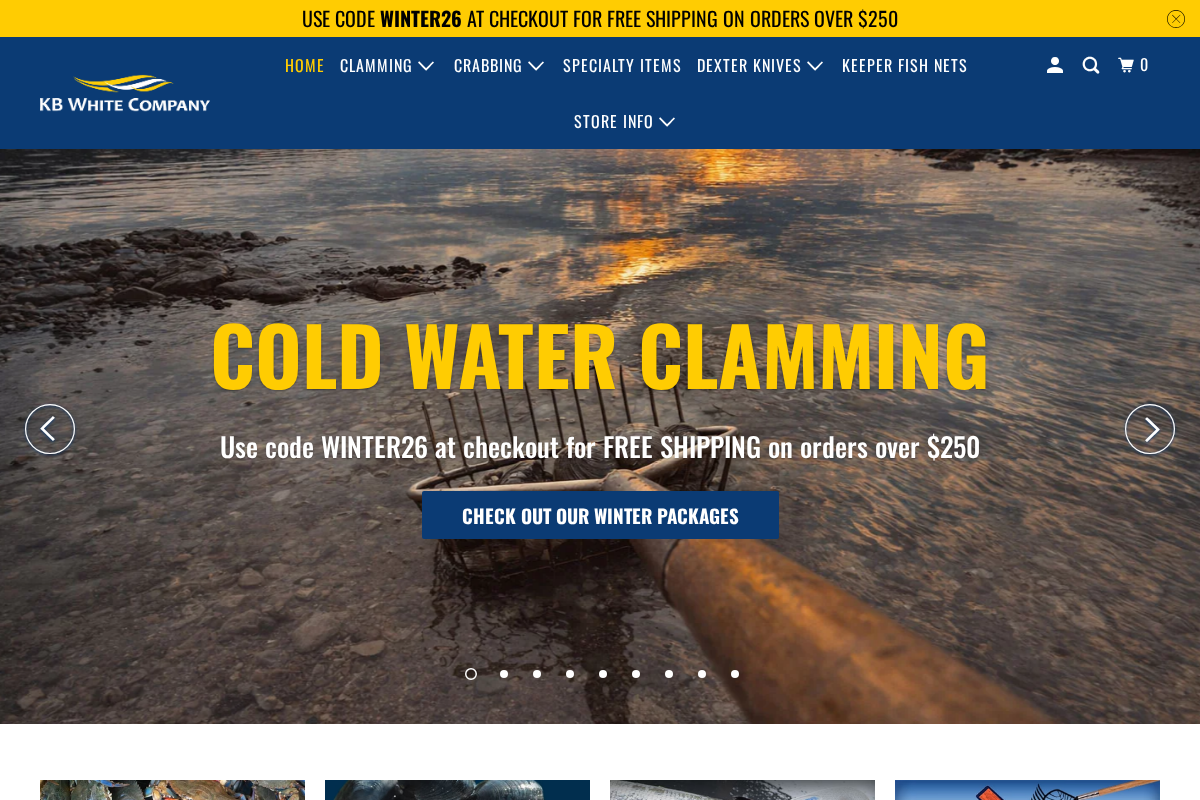 KB White homepage screenshot