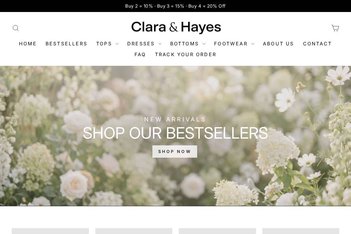 Clara Hayes homepage screenshot