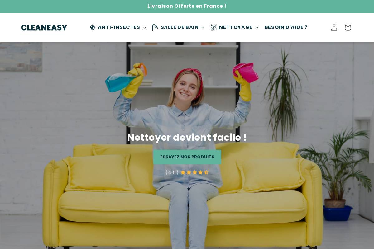 Cleaneasy homepage screenshot