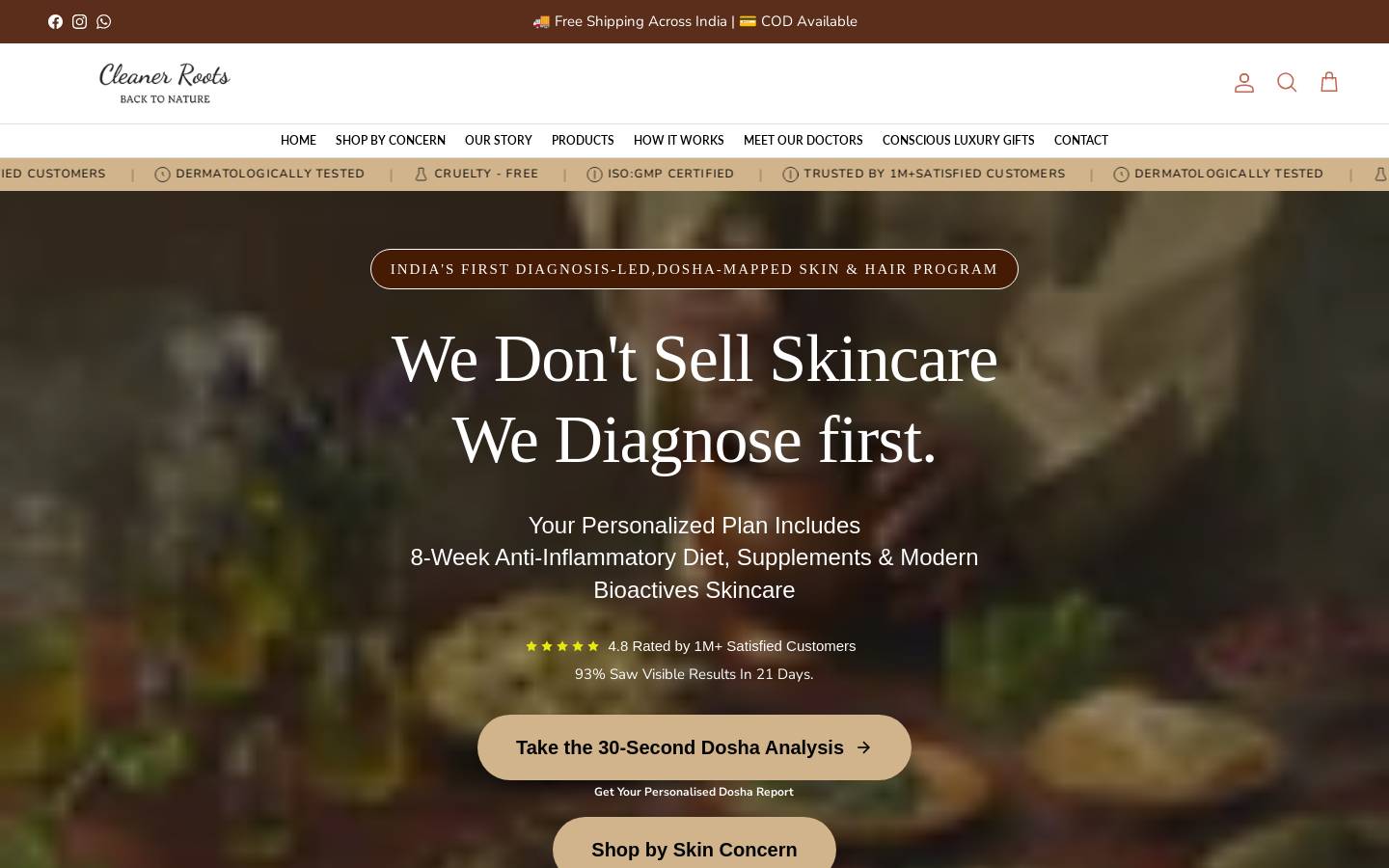 cleanerroots.com homepage screenshot