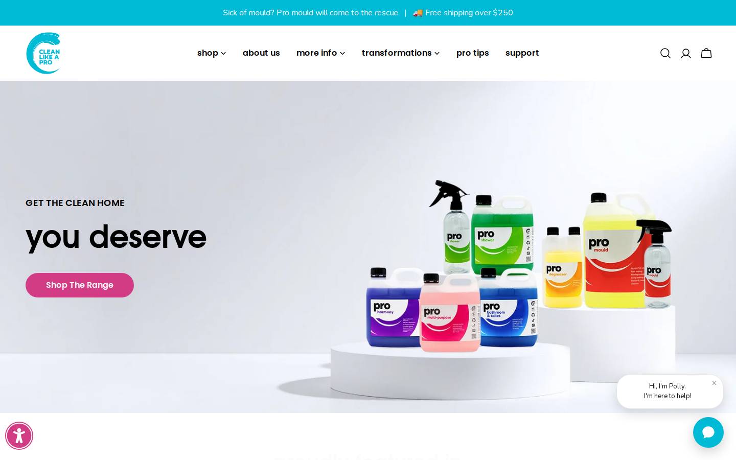 Clean Like a Pro homepage screenshot