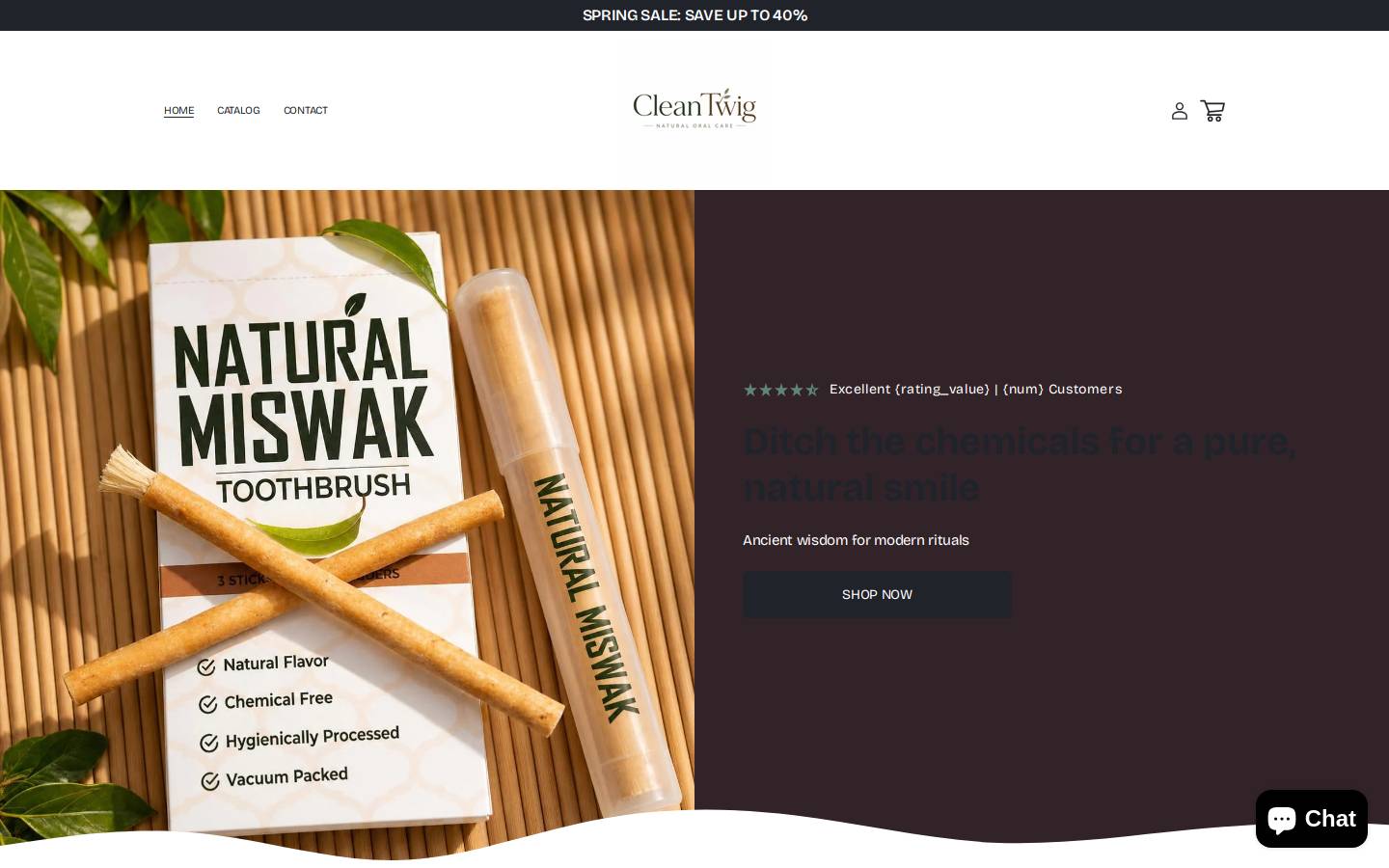 cleantwig.com homepage screenshot