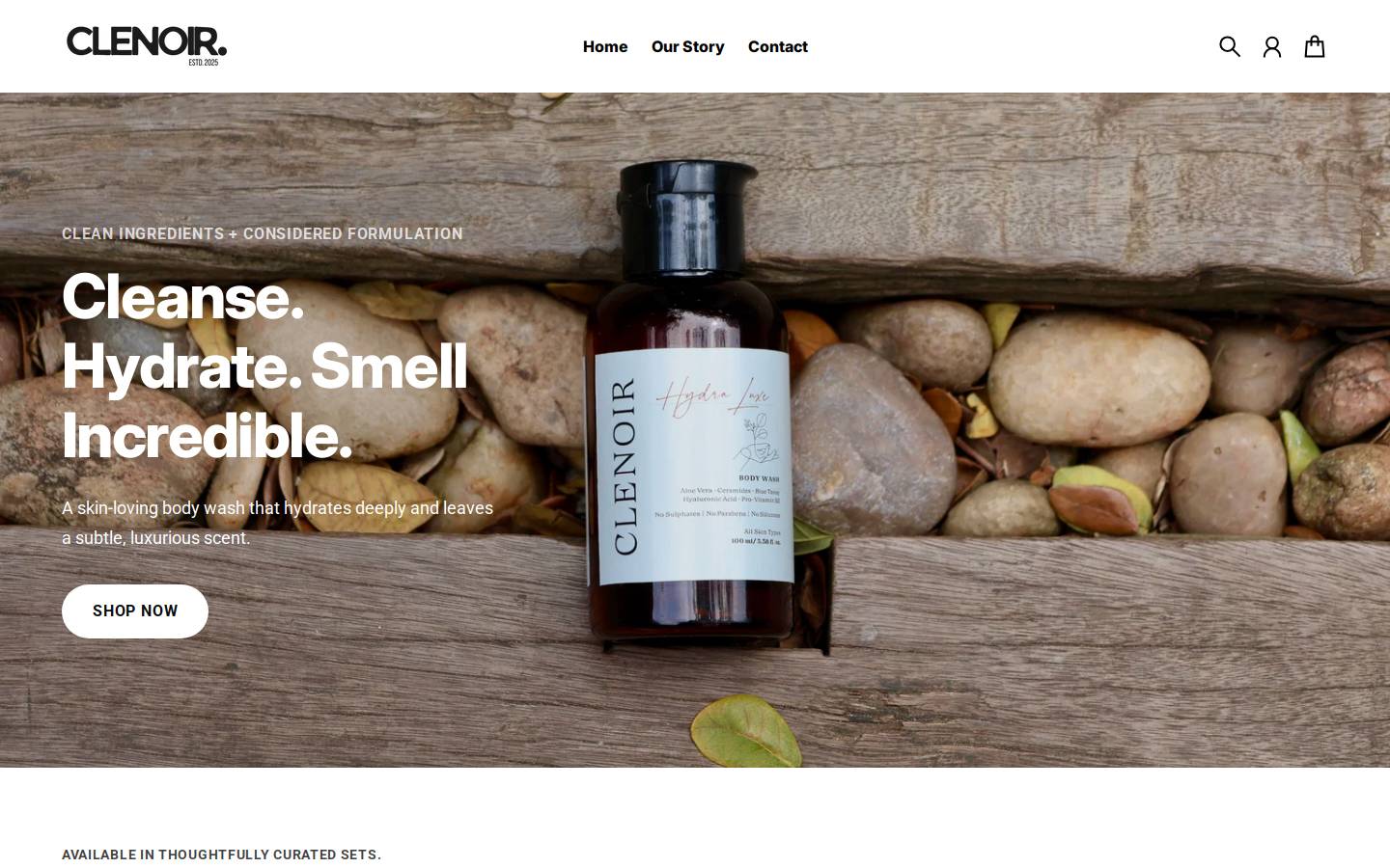 clenoir.in homepage screenshot
