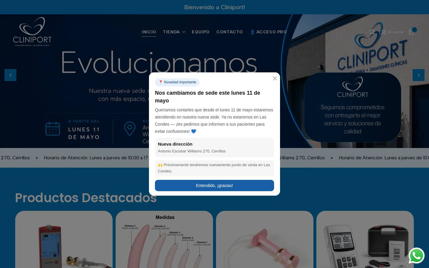 cliniport.cl homepage screenshot