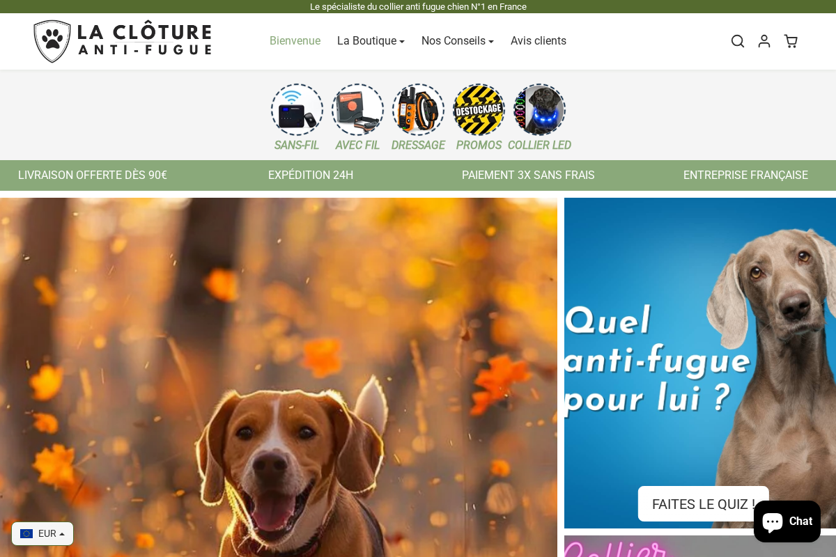La Clôture Anti-Fugue homepage screenshot