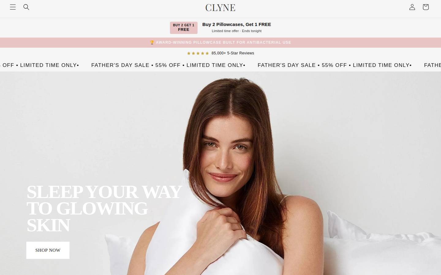 clyneco.com homepage screenshot