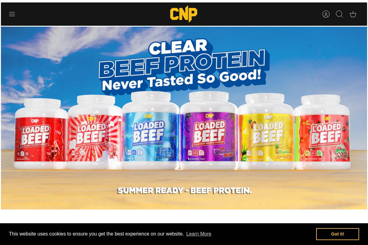 CNP Professional homepage screenshot