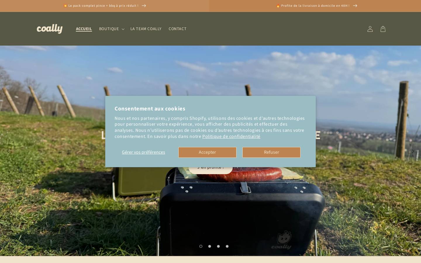 coally-adventure.com homepage screenshot