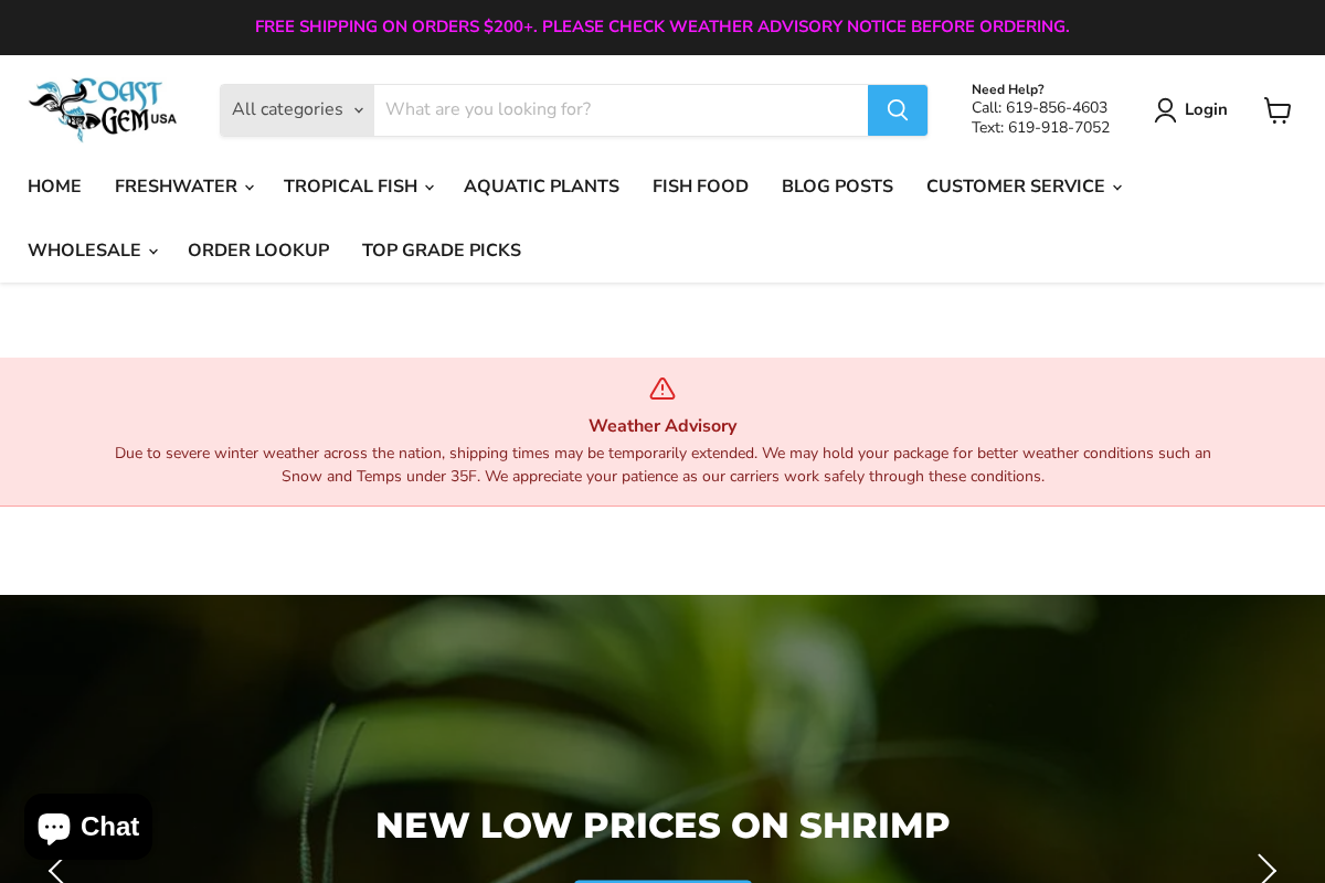 Coast Gem USA homepage screenshot