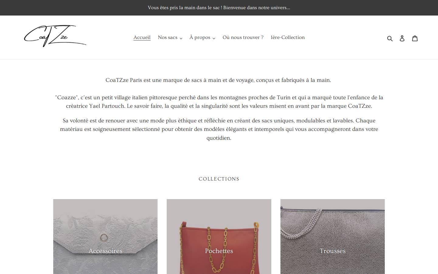 coatzzeparis.com homepage screenshot
