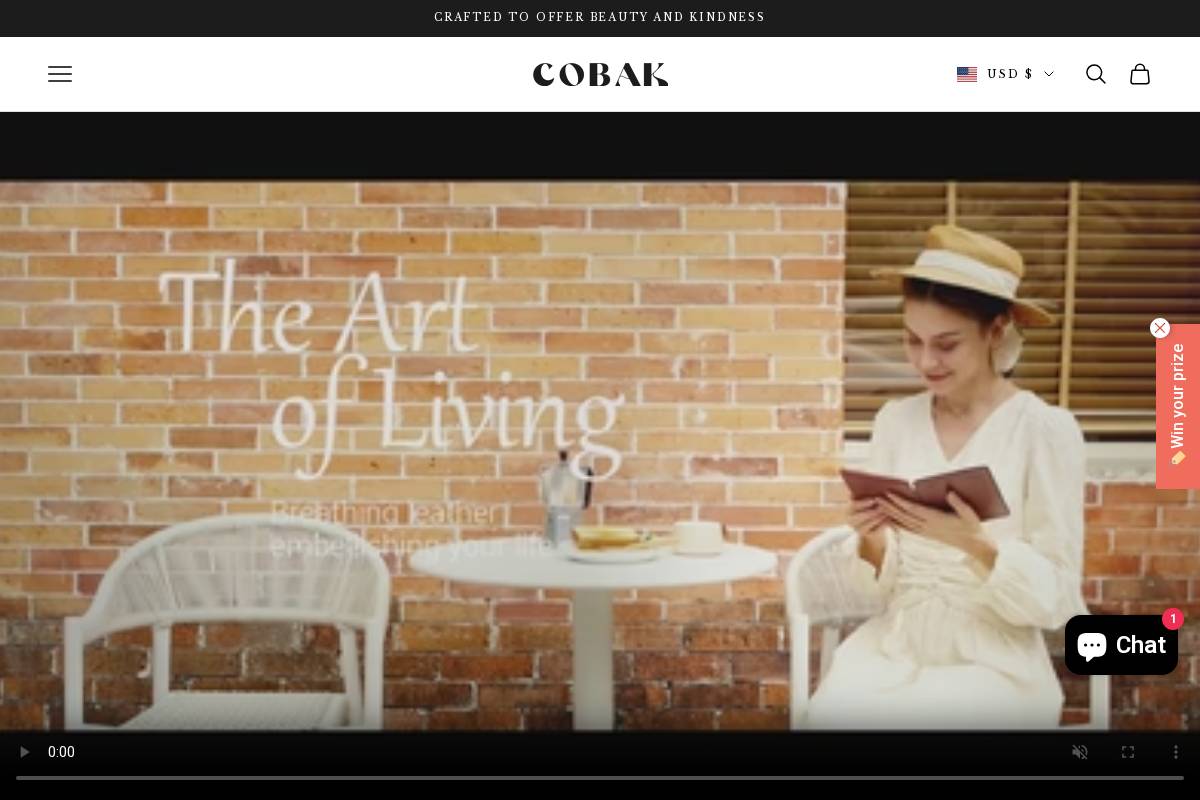 CoBak homepage screenshot