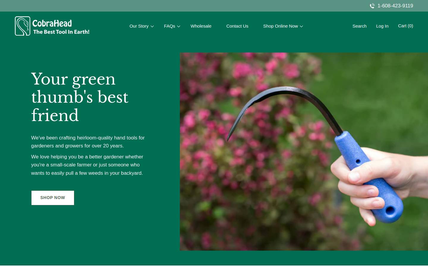 CobraHead homepage screenshot