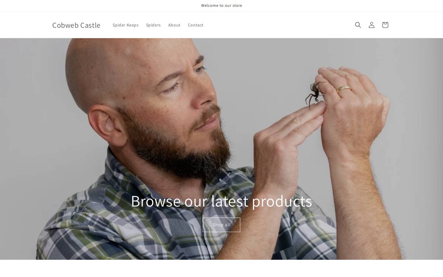 cobwebcastle.com homepage screenshot