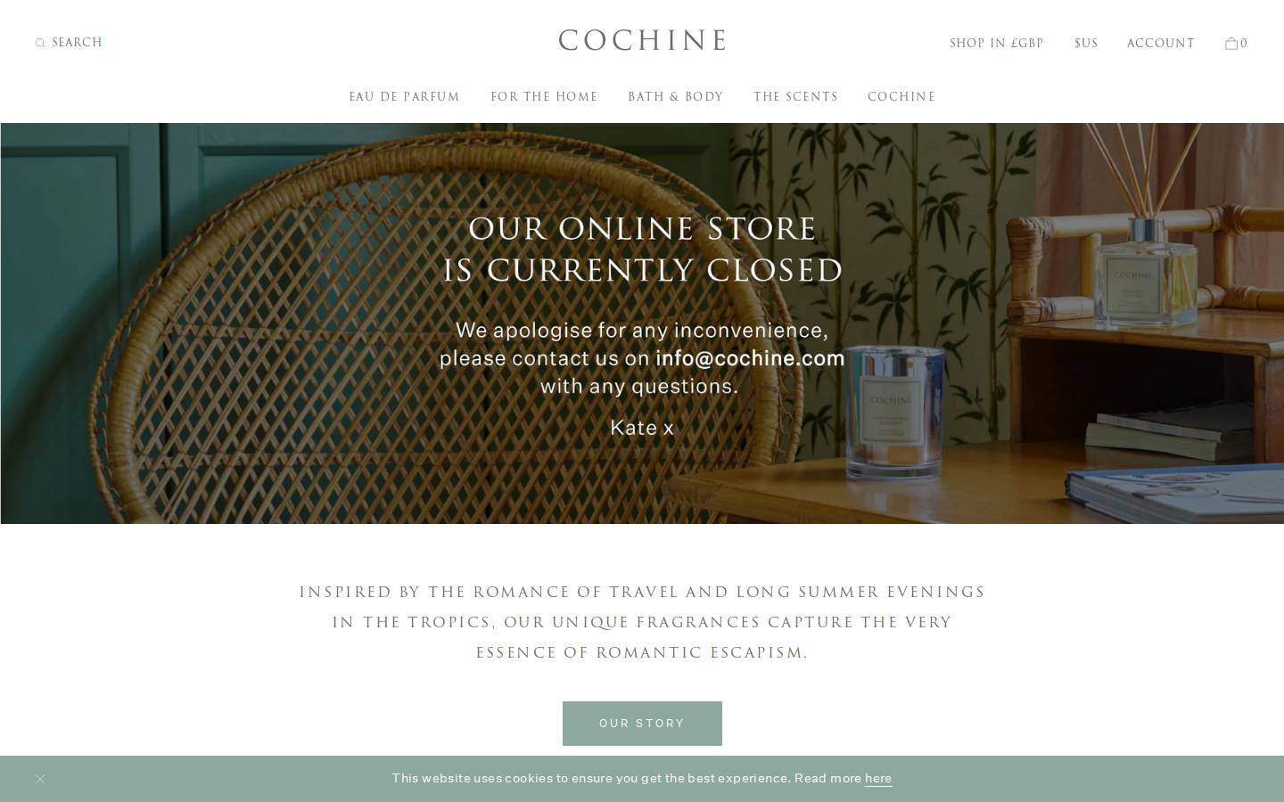 cochine.com homepage screenshot