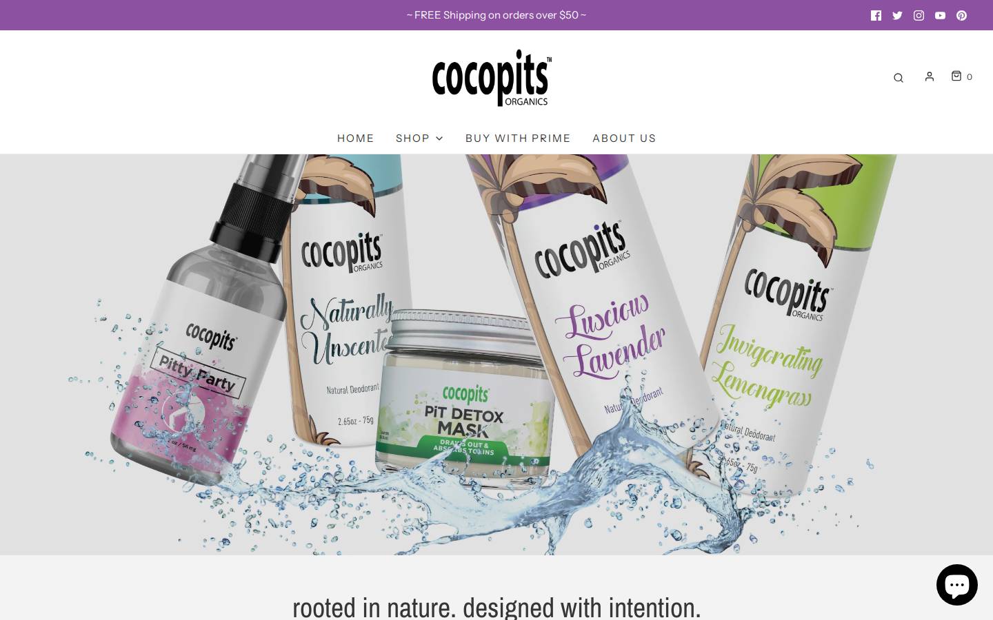 coco-pits.com homepage screenshot