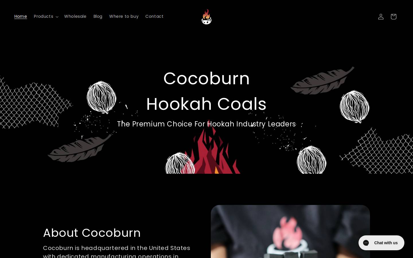 cocoburn.com homepage screenshot