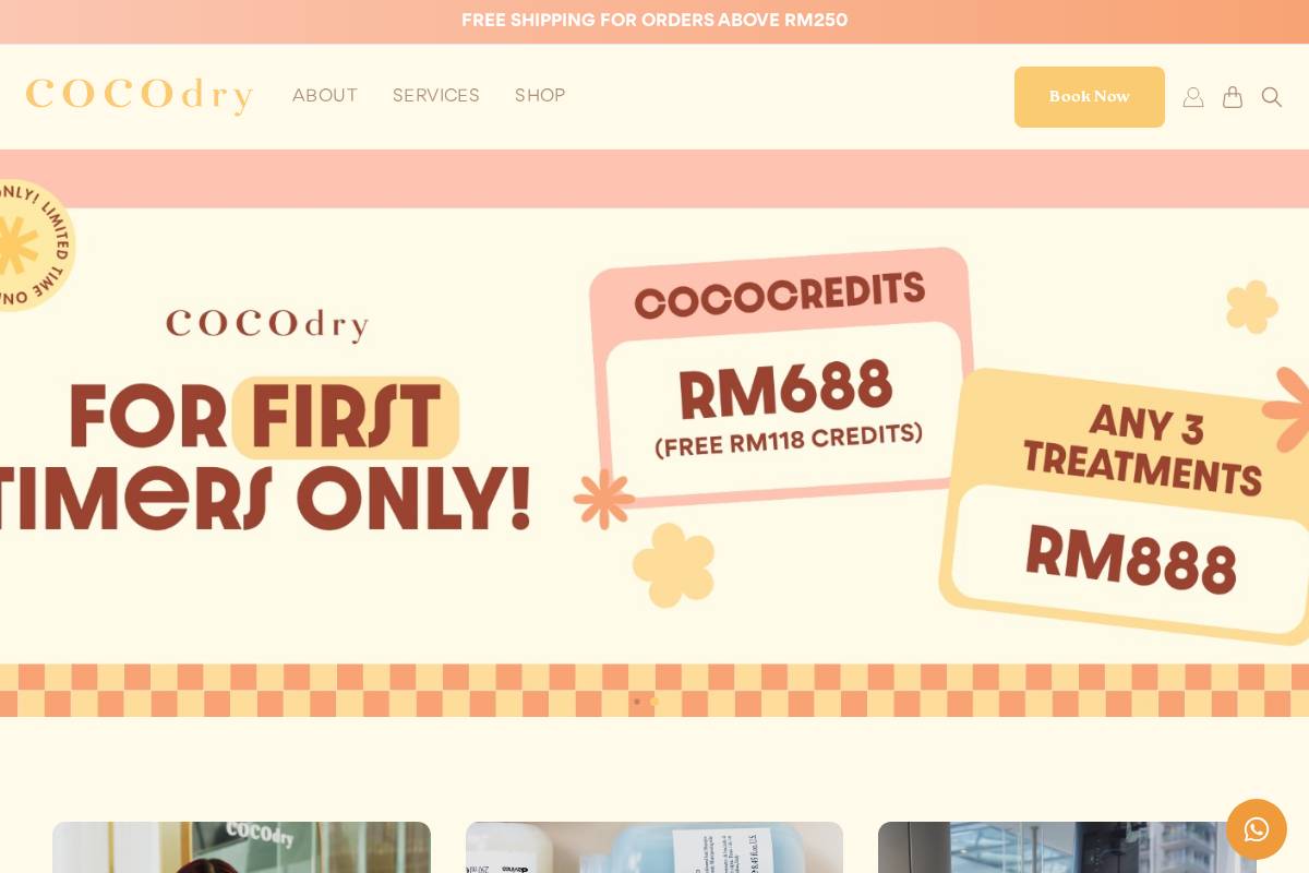 cocodry.co homepage screenshot