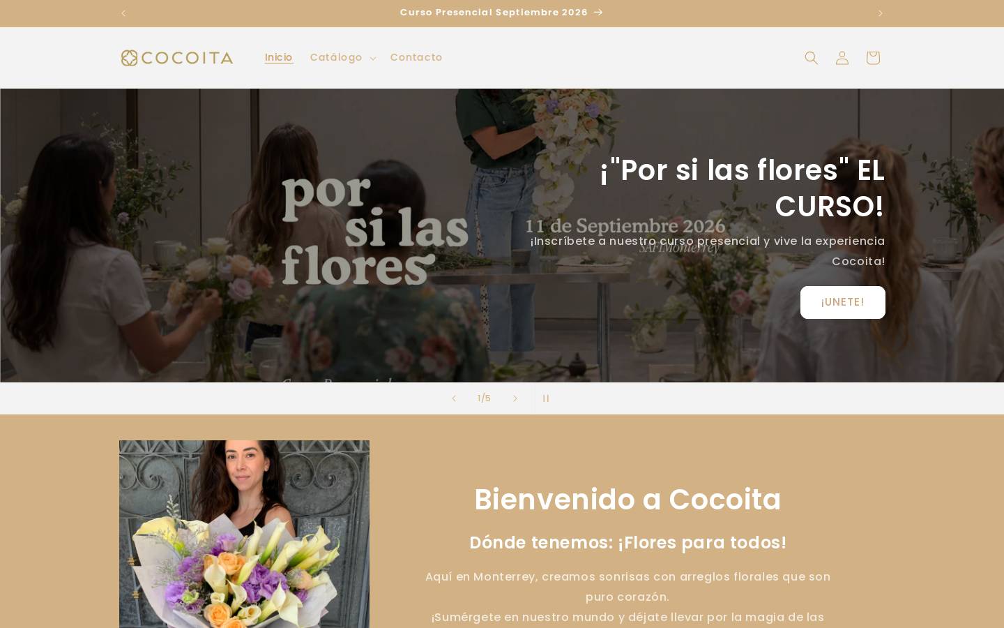 cocoita.com homepage screenshot