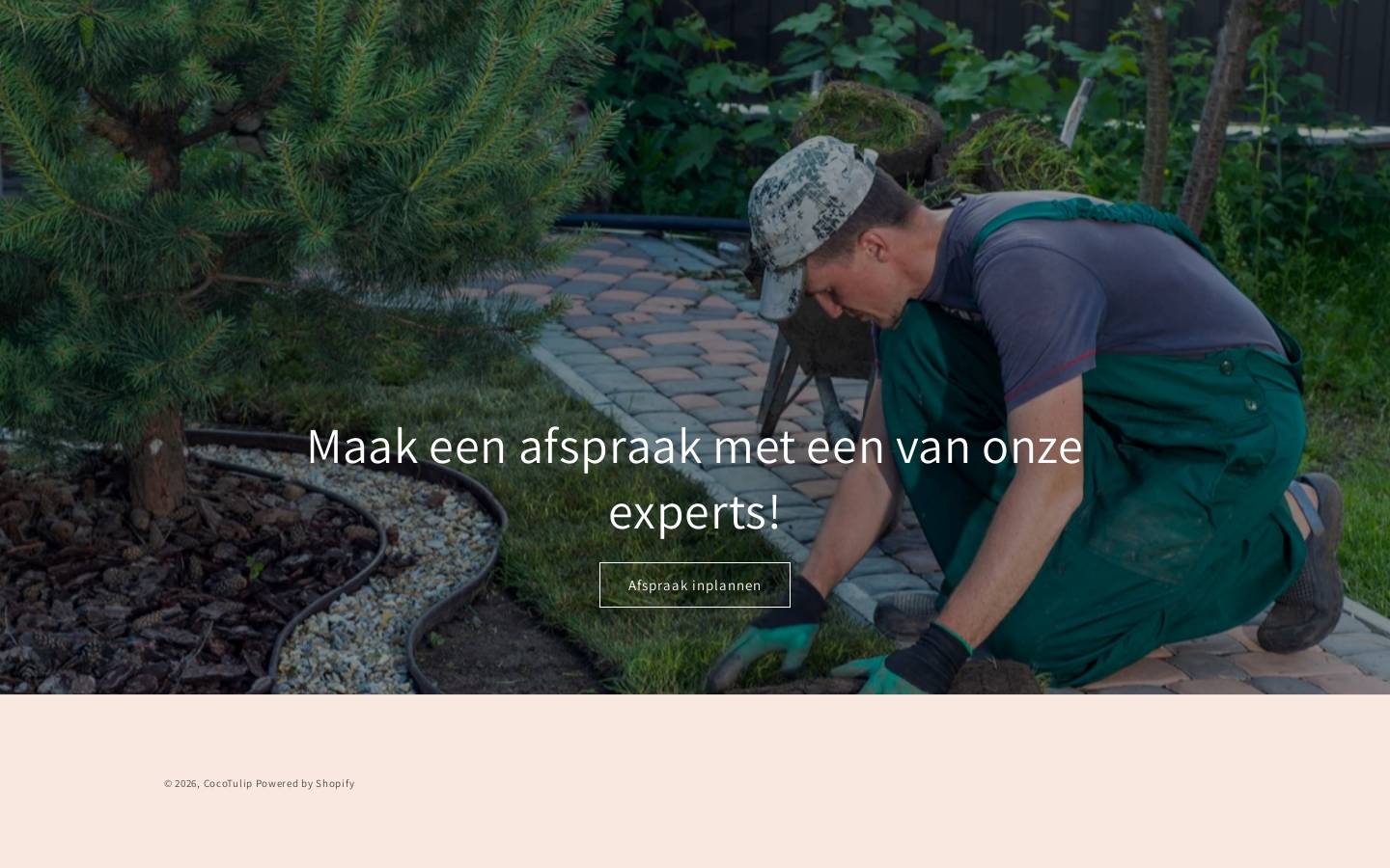 cocotulip.com homepage screenshot