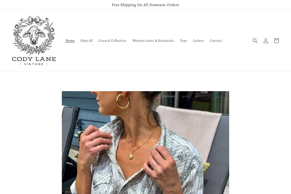 codylaneco.com homepage screenshot