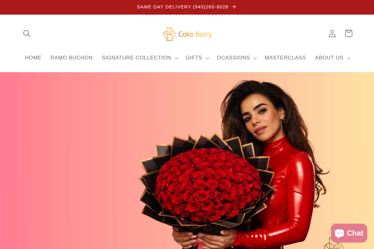 Coko Berry homepage screenshot