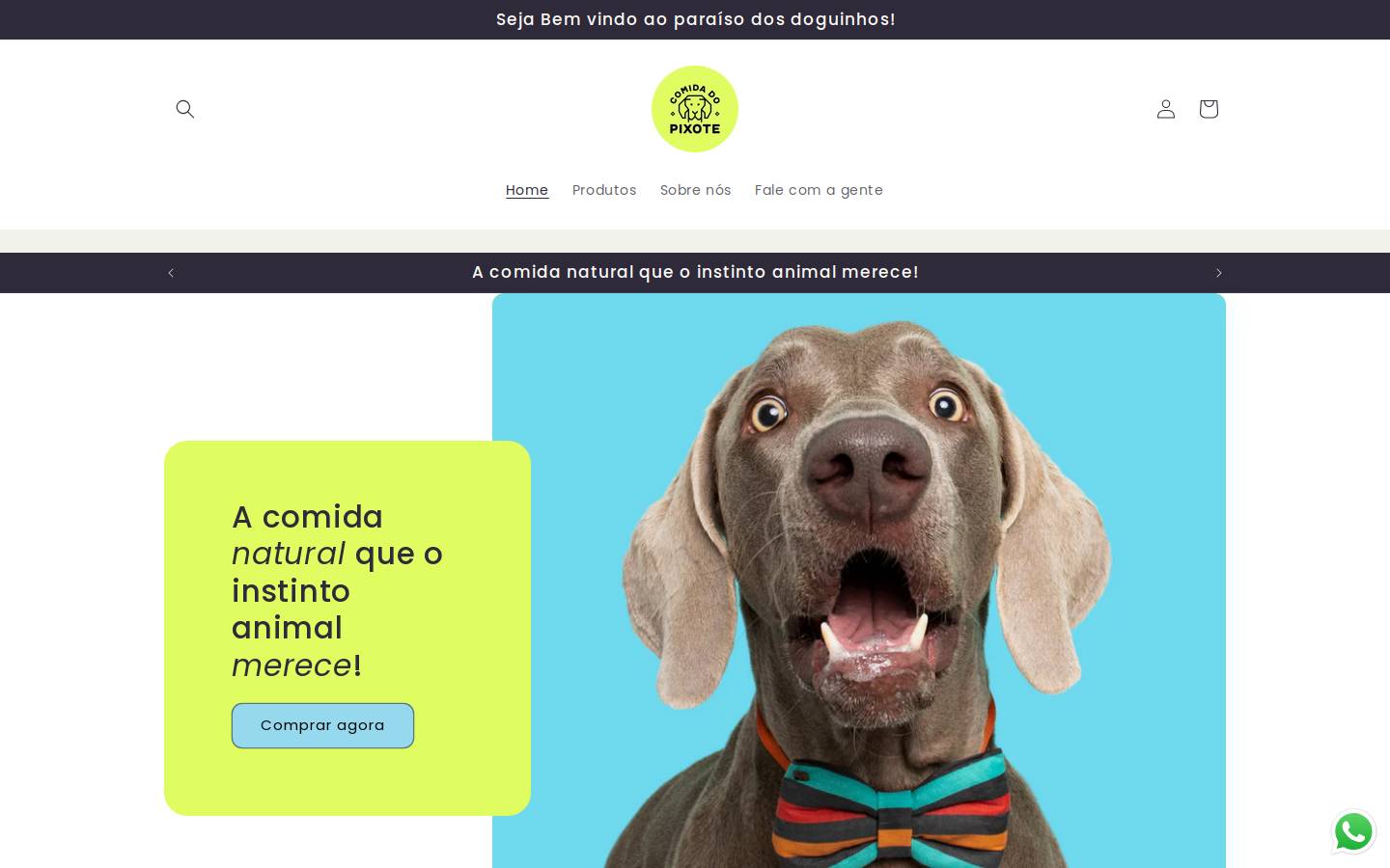 comidadopixote.com.br homepage screenshot