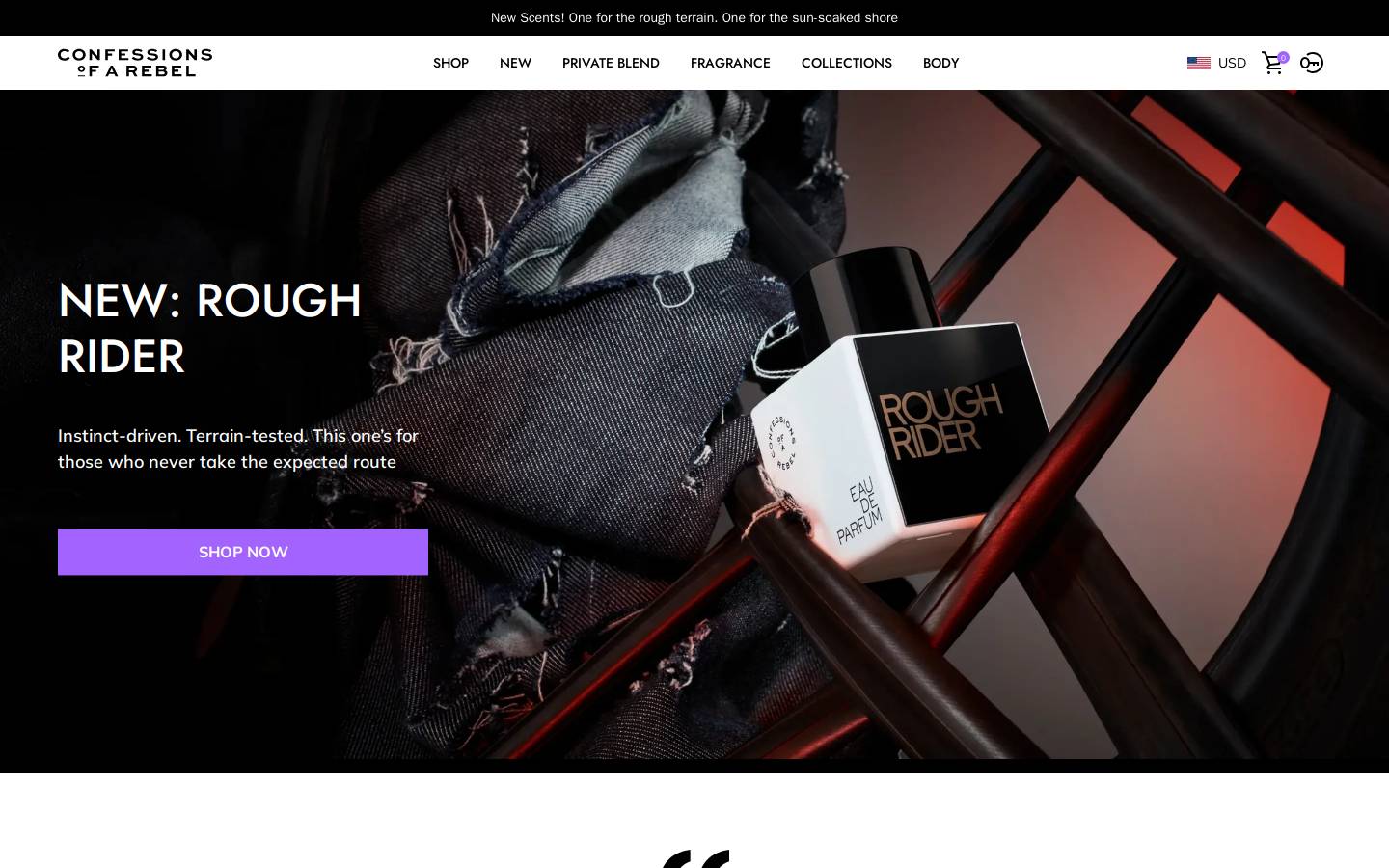 confessionsofarebel.com homepage screenshot