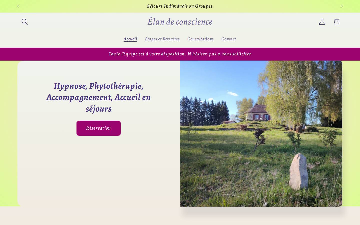 conseil-et-strategie.eu homepage screenshot