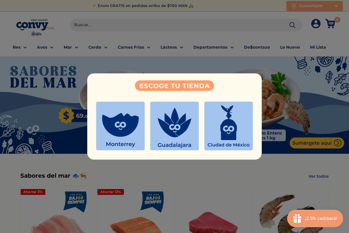 convy-gdl.mx homepage screenshot