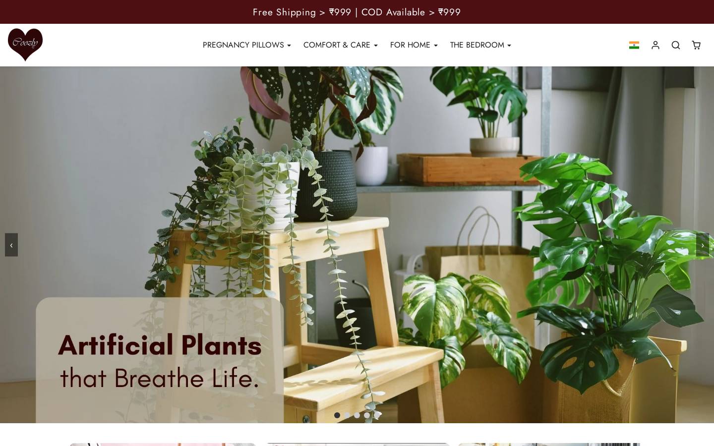 coozly.co homepage screenshot