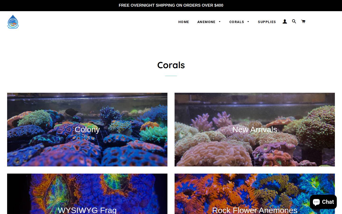 coralexplorers.com homepage screenshot