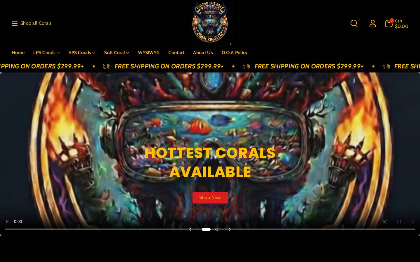coralkingsllc.net homepage screenshot