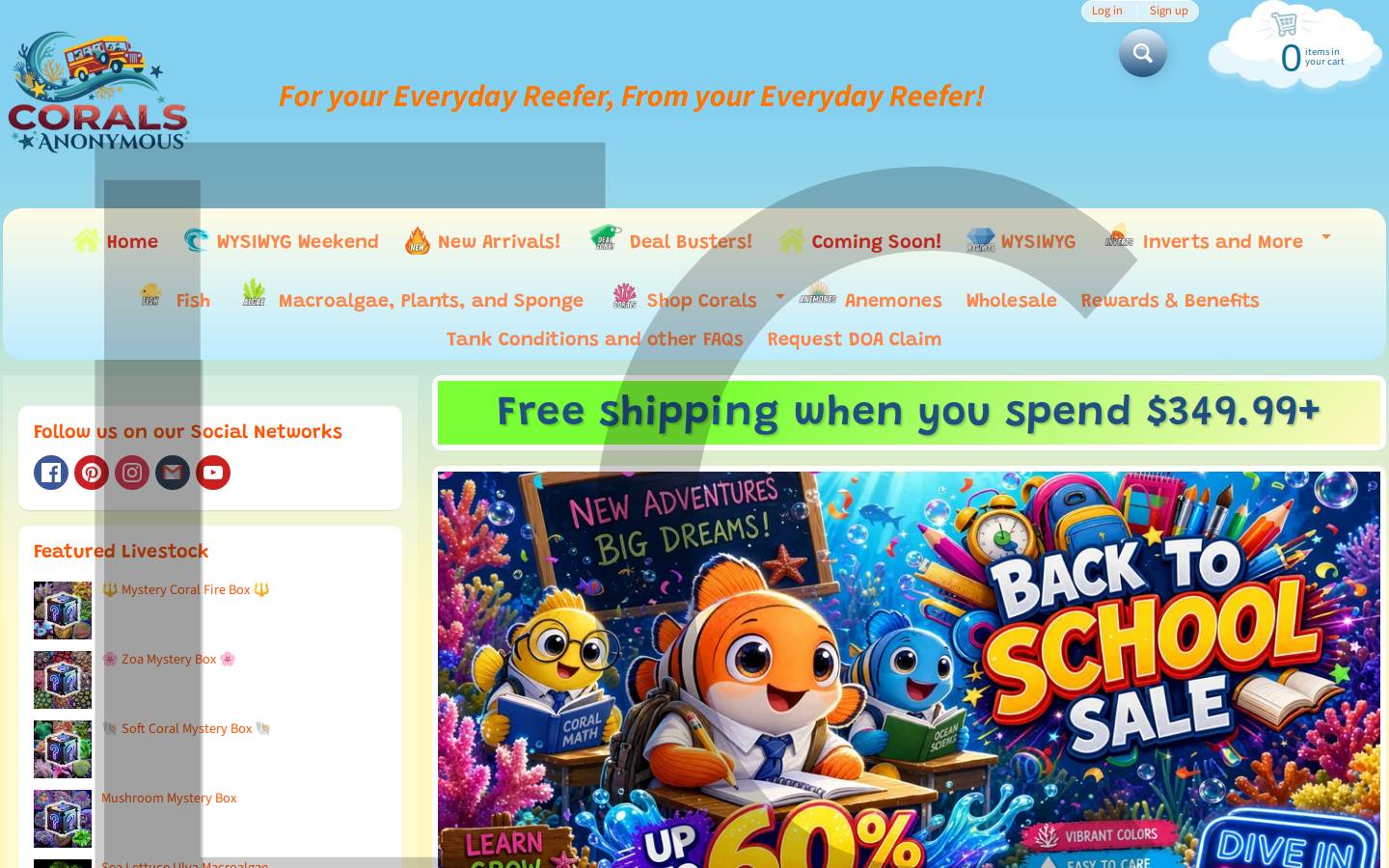coralsanonymous.com homepage screenshot