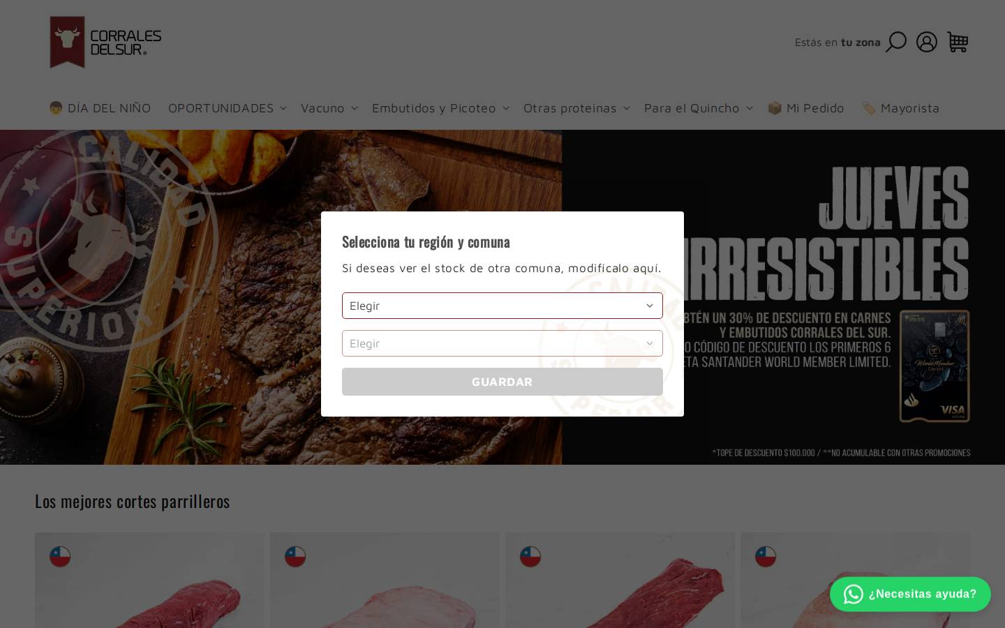corralesdelsur.cl homepage screenshot