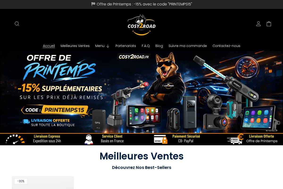 Cosy2road homepage screenshot