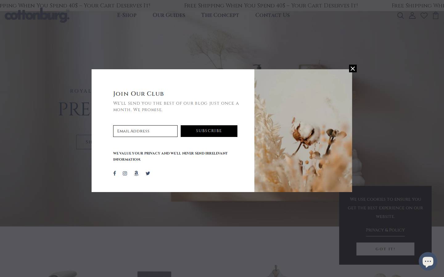 cottonburg.com homepage screenshot