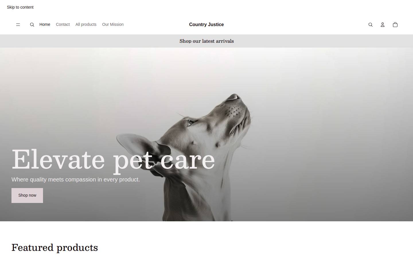 countryjustice.org homepage screenshot