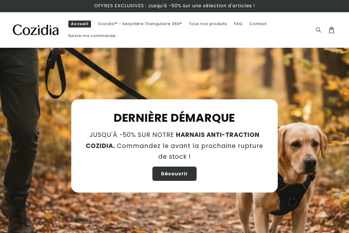 cozidia.com homepage screenshot